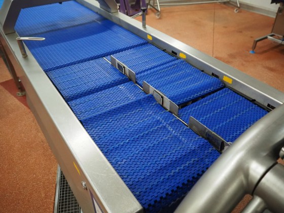 Converging Conveyor Pic 05